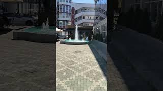 Адлеровские чебуреки.