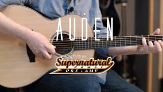 The Brad Clark Supernatural Acoustic Pickup | AUDEN demos