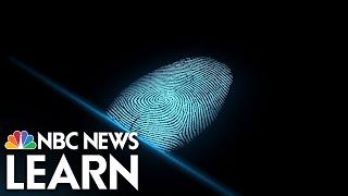 Crime Scene Chemistry: Fingerprinting