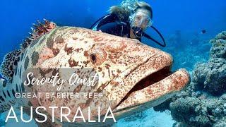 UNCOVERING AUSTRALIA HIDDEN GEMS ︱ BARRIER REEF AND CORAL SEA ︱ WORLD BEST DIVING︱4K VIDEO