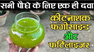 सभी पौधे के लिए एक ही दवा बनाएं जो फंगीसाइड कीटनाशक और खाद का काम करें | Benefits Of Aloe Vera Plant