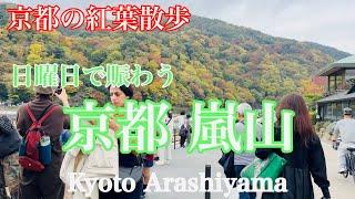 2024年11月17日 もみじ色付く日曜日の京都嵐山を歩く Walking around Arashiyama, Kyoto 【4K】