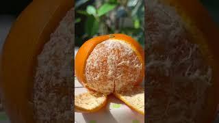 Only 3 Ingrendients！Cat Makes Orange Custard | Cat Cooking ASMR | Cute Cat TikTok#Shorts