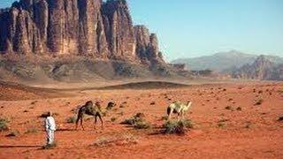 حياة الصحراء Arabian desert