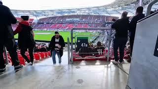 VfB Stuttgart gegen VfL Bochum 2022: Neckarstadion-Vlog. ️️