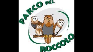 Parco del Roccolo: la natura dietro casa