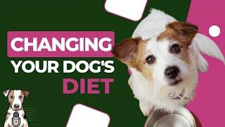 Changing Your Dog's Diet with Jennifer Carter of Volhard Dog Nutrition