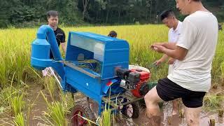 Backbone Machinery BB-TG80 paddy thresher