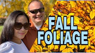 FALL FOLIAGE | FALL COLORS IN KENOSHA PASS, COLORADO