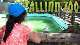 Tallinn Zoo, Tallinnan Eläintarha