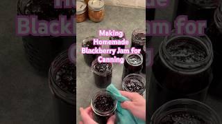 Making Homemade Blackberry Jam for Canning #shorts #foodpreservation #canning #homesteading #jam