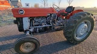 Massey Ferguson 165 - Mosterttrading