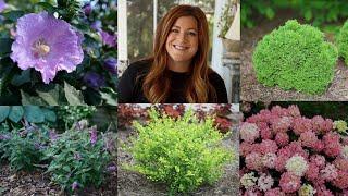 10 Small Shrubs that Will Fit In Any Garden!  // Garden Answer