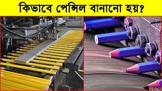 কিভাবে পেন্সিল তৈরি করা হয়? | How A Pencil Is Made | 10 Solutions