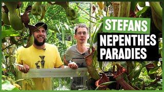 #146 Zu Besuch in Stefans botanischem Garten