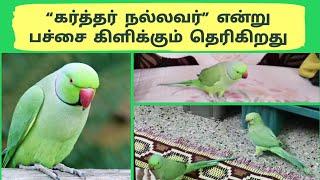 Watch Till the End | Parrot also say "God is good" | Eden Tv Bible Review