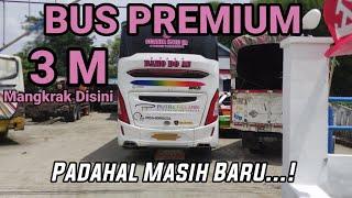 "BAHO DO AU" BUS PT PUTRA PELANGI PERKASA KAPANKAH MASUK KE LINTASAN LAGI‼️