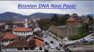 Bosnian DNA Novi Pazar Serbia Haplogroup  I2a I-M423