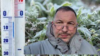 Беларусь. 06.05.2025. Очередной заморозок на винограднике.