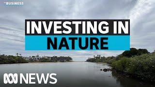 Why nature is the next big asset class | ABC News | The Business