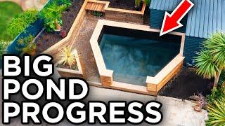 My Backyard Koi Pond Is Nearly Finished! (pt 2)