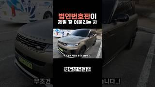 법인차여도 욕 안 먹을 듯?