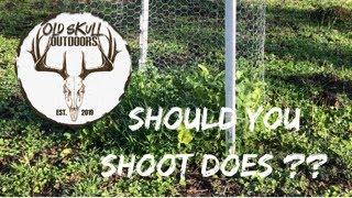 To Many Deer? - Should You Shoot Does? - Utilization Cages