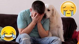 Funny Dog Reaction to me Crying - PRANK (BEST REACTION EVER)