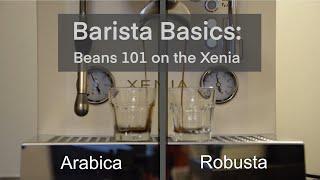 BARISTA BASICS: Robusta vs Arabica with the Xenia