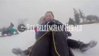 Welcome to the Bellingham Herald