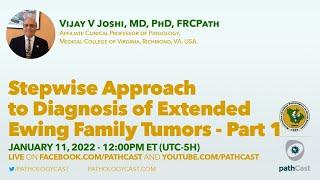 Stepwise approach to diagnosis of extended Ewing family tumors - part 1