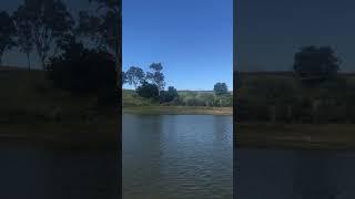 Brisbane River swimming