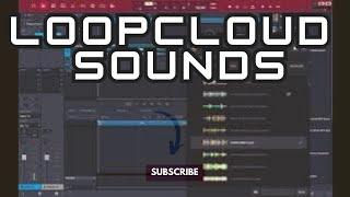 Loopcloud Sounds Tutorial - Loopcloud Sounds Demo and Review