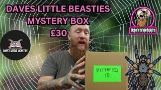 Daves little beasties mystery box