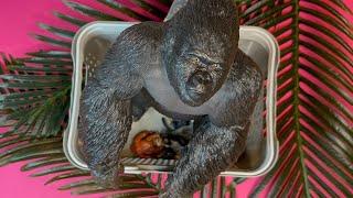 12 Primates including noises | animal noises | the darling toy house | monkey | ape | marmoset |