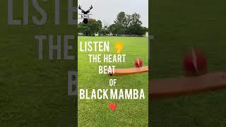 Buy black mamba bat in india |  Zero compromise | Pure Kashmir willow | original Kashmir willow