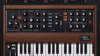 Minimoog finally ! - Patrick Baele