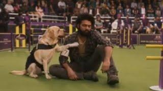 charlie 777//movies most emotional and heart touching scene//#charlie #doglover #lab#labrador#arijit