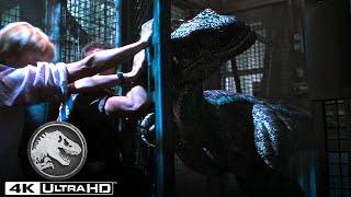 Jurassic Park III | Velociraptor Chases the Crew and Calls For The Pack