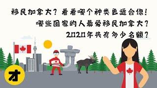 移民加拿大？看看哪个种类更适合你！2020年共有多少名额？哪些国家的人最爱移民加拿大？你是否够资格？| Canadian Immigration Overview