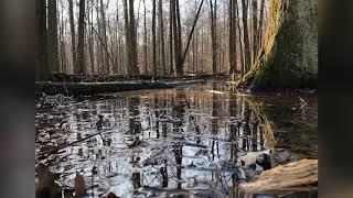 Sandy Ridge Reservation