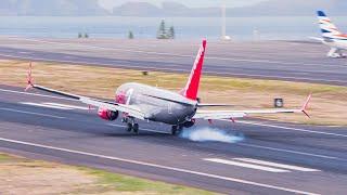 10 WINDY DAY LANDINGS at Madeira Airport