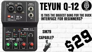 TEYUN Q-12 - A $29 USB Mixer That.....Is The New Budget Champ?!?  Does It Drive An SM7B?  XTUGA