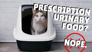 Review: Urinary Prescription Diet for Cats | Two Crazy Cat Ladies