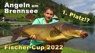 Karpfen & Wels beim Fischer-Cup in Kärnten - unsere Strategie zum Gewinnen | Angeln am Brennsee