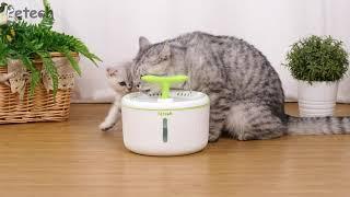 Petech automatic cat water dispenser, ultra quiet pump, 3 drinking ways for multi pets PT1001