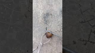 Perfect Restoration Casting Copper Snail out of Scrap #shorts #viralvideo #reels #restoration