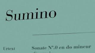 Hayato Sumino - Piano Sonata №.0 "Soumei" (Transcription)