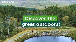 Discover woodlands and National Nature Reserves in Wales