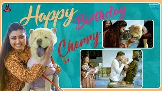Happy Birthday Cherry || Varsha Bhavanimath